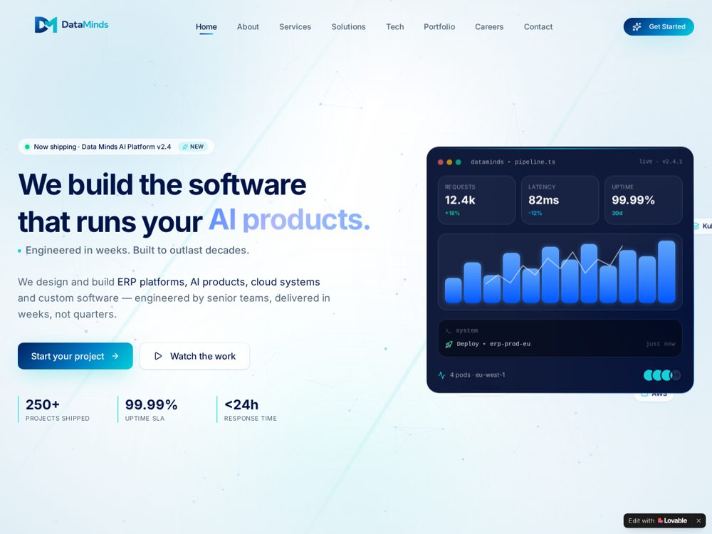 Data Minds project preview
